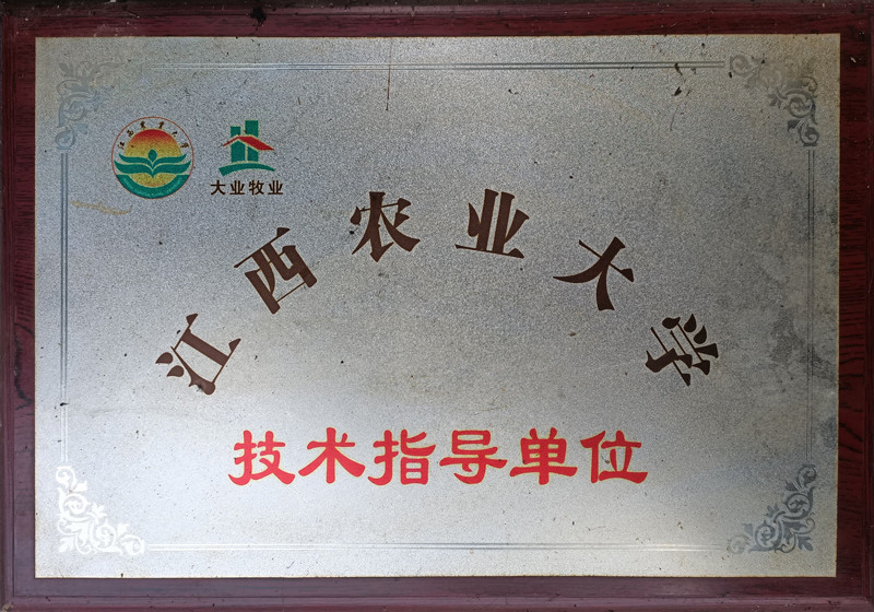 技術(shù)指導(dǎo)單位